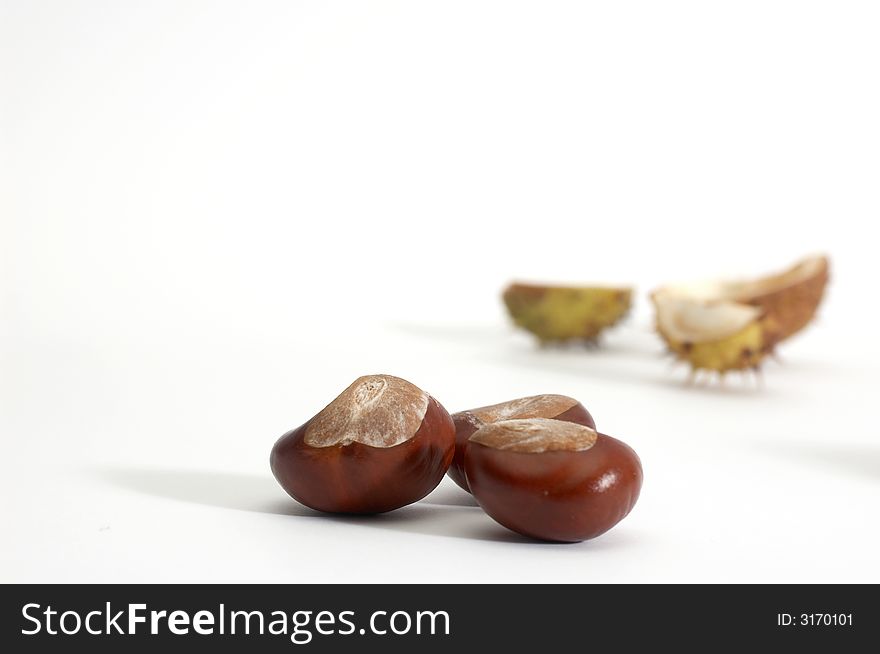 Brown chestnuts on a background