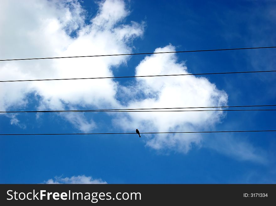 Beautiful blue sky and white clouds.
Peaceful and quiet scenery. Beautiful blue sky and white clouds.
Peaceful and quiet scenery.