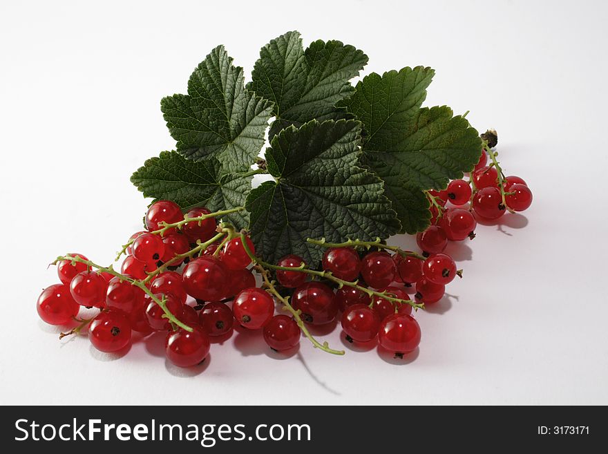 Sweet red currant on the white background