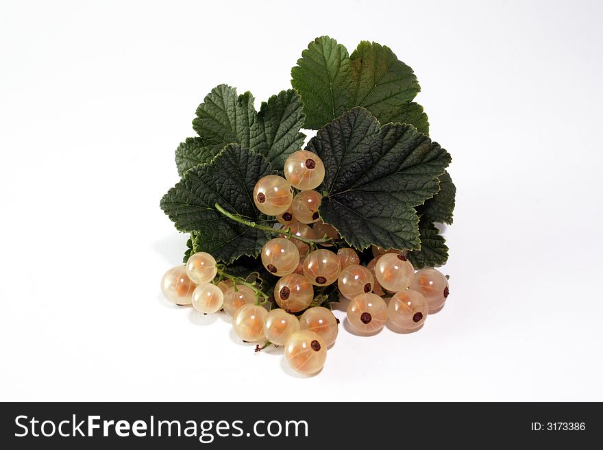 Sweet white currant on the white background