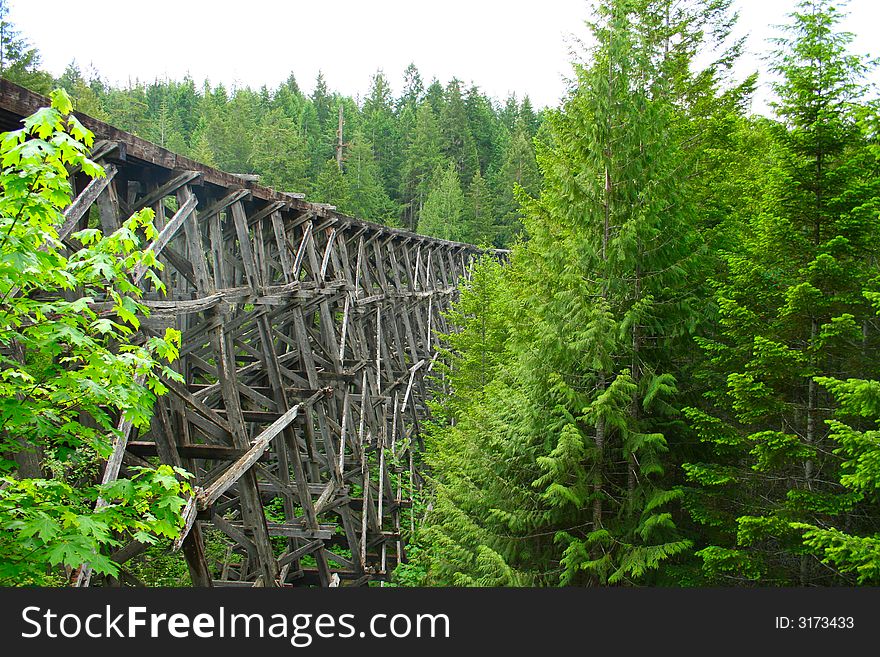 Old Broken Down Train Trestle Deep in the Forest