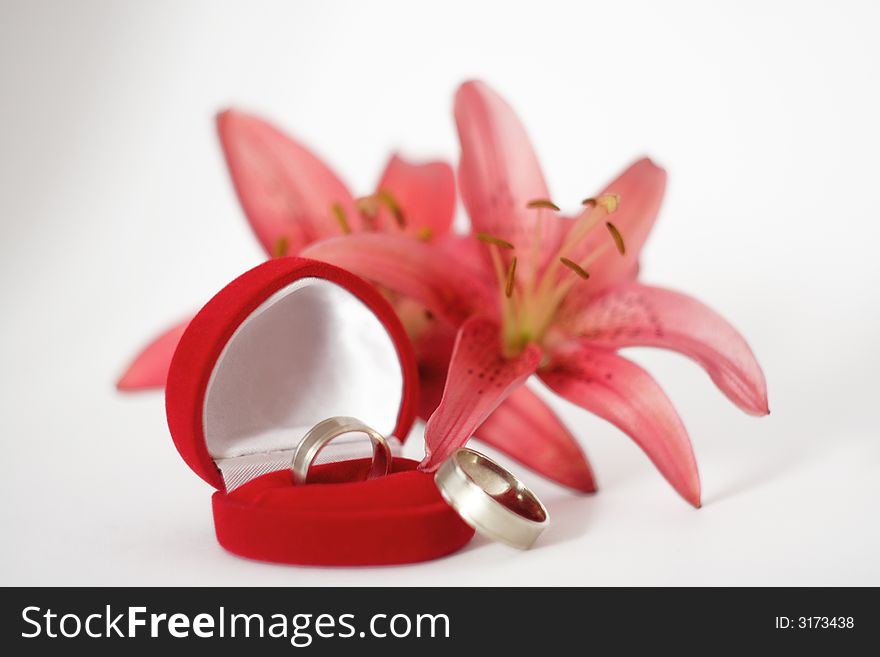 Wedding rings in red box and pink lilly. Wedding rings in red box and pink lilly