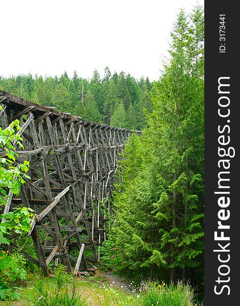 Old Broken Down Train Trestle Deep in the Forest