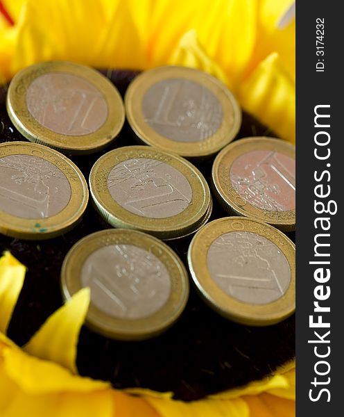 Euro coins in sun flower, illustration