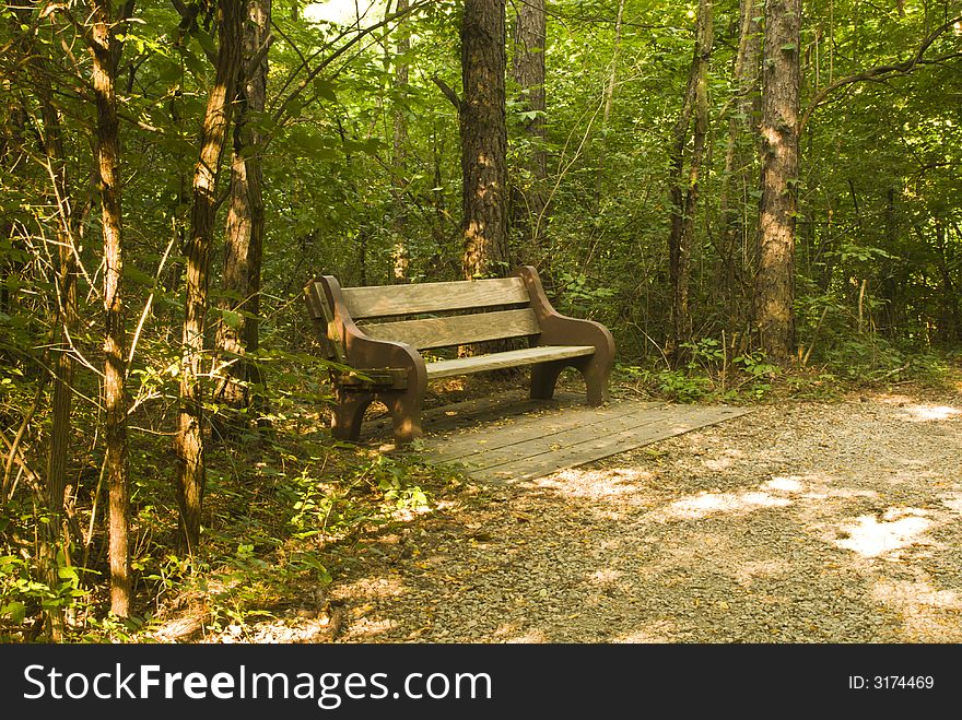 Wood bench sits under trees next to a hiking trail. Wood bench sits under trees next to a hiking trail