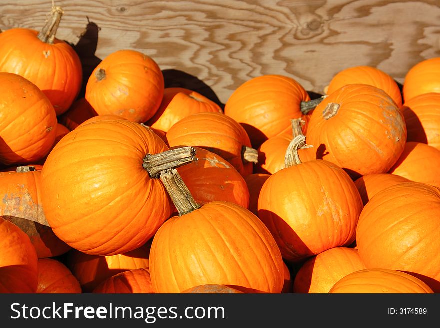 Halloween pumpkins lying in a bin. Halloween pumpkins lying in a bin