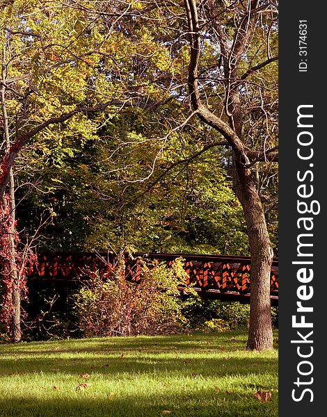 Fall foliage with orange and yellow maples and oaks leaves