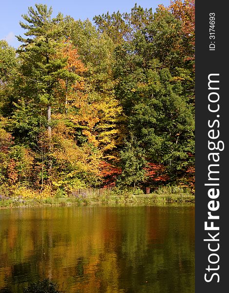 Fall colors with orange and yellow maples and oaks