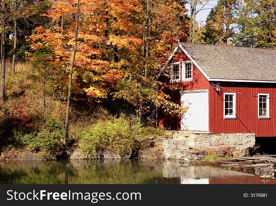 Pathway surrounded by fall foliage and autumn colors