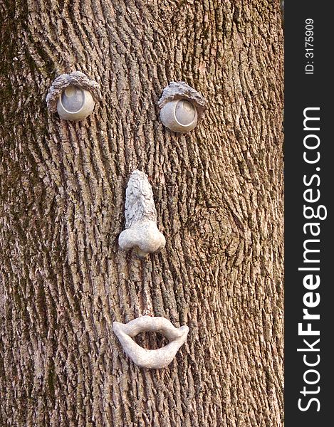Unusual Faces Found On Trees. Unusual Faces Found On Trees