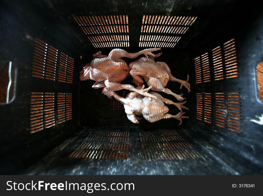 Chickens are kept in a basket for sale.