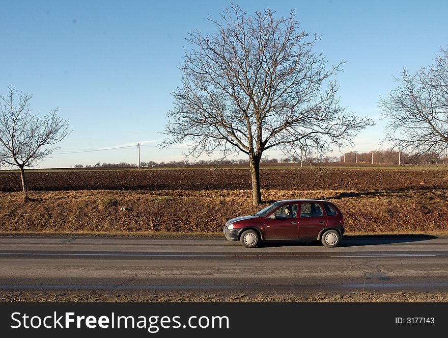A car on a road and a field and tree without leaves. A car on a road and a field and tree without leaves