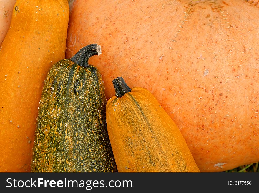 Pumpkin background in orange and yellow. Nice autumn colors.