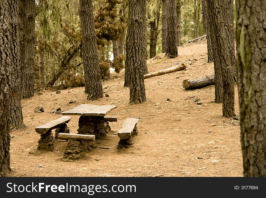 Table and benches in a forest. Table and benches in a forest