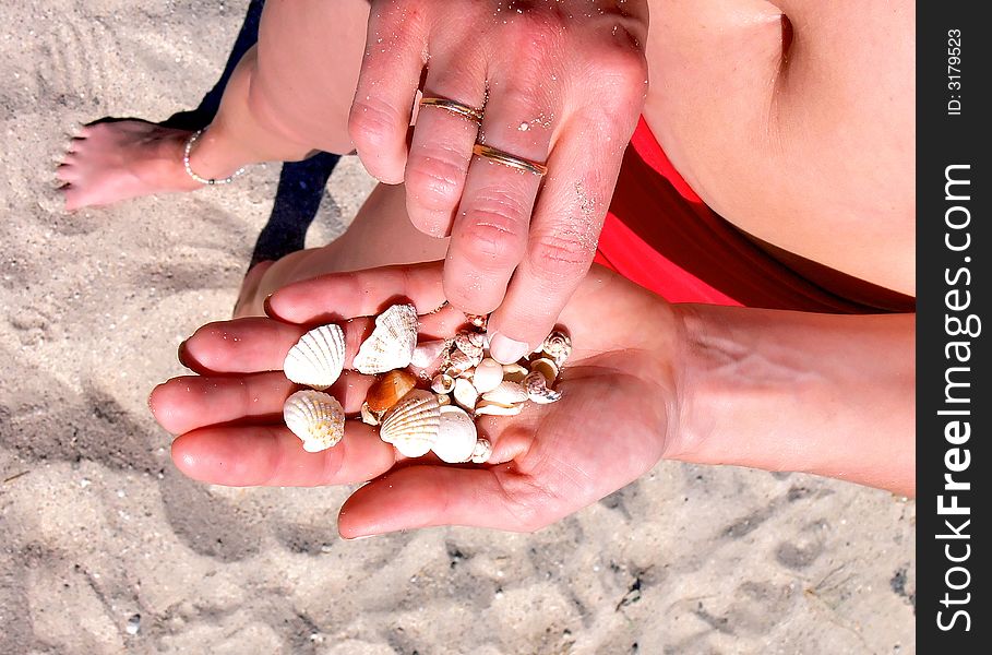 A woman on the beach holding some sea shells in her hand. A woman on the beach holding some sea shells in her hand