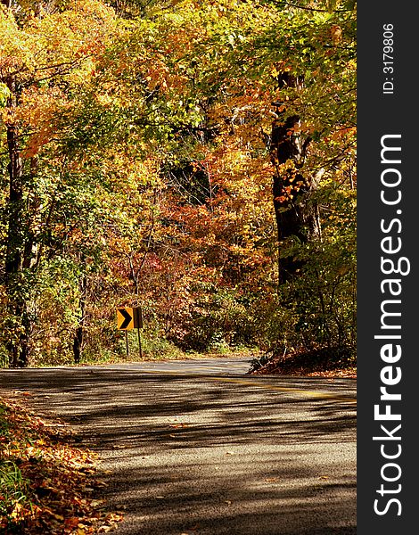 Brilliant display of fall colors with curved road. Brilliant display of fall colors with curved road