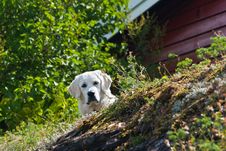 Oslo Islands Stock Photography Oslo Islands Stock Photography