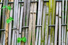 Old Bamboo Fence Royalty Free Stock Photos Old Bamboo Fence Royalty Free Stock Photos