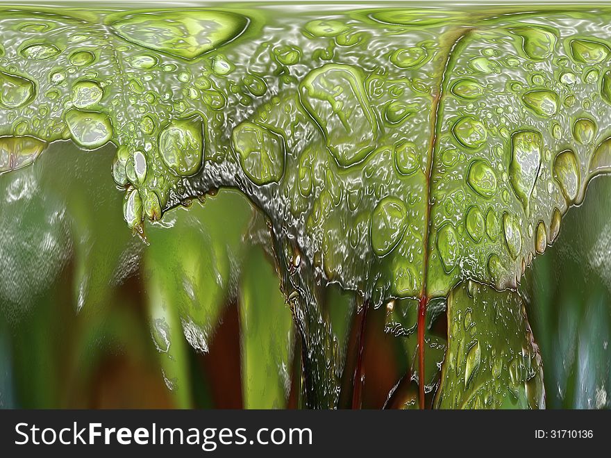 Green background - leaf water drops