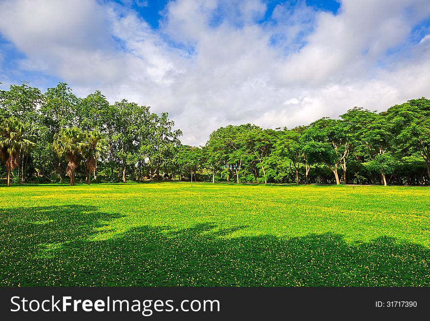 The Green Earth Blue Key_scenery