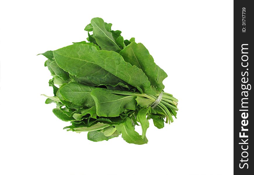 A bunch of green sorrel tied with a cord. Image isolated.