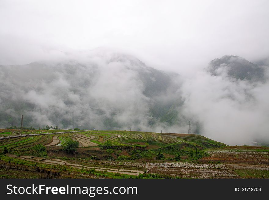 Paddy fields after heavy rain. Paddy fields after heavy rain