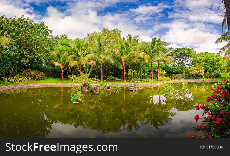 The Lakeside Coconut Forest_landscape
