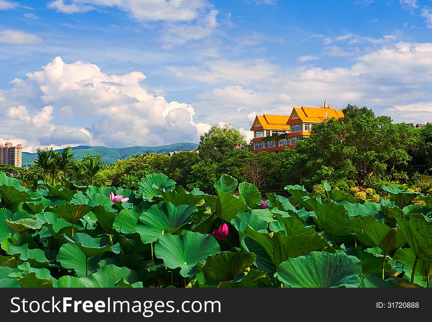 The image taken in china's yunnan province xishuangbanna prefecture Jinghong city Manting park scenic spot. The image taken in china's yunnan province xishuangbanna prefecture Jinghong city Manting park scenic spot.