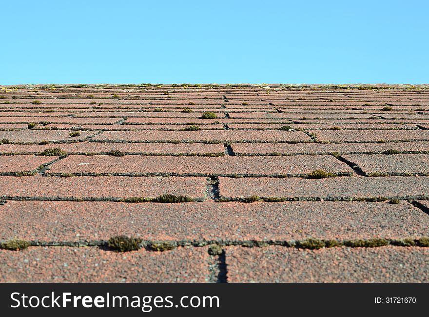 Old Shingle Roof Overgrown With Moss on Blue Sky Background