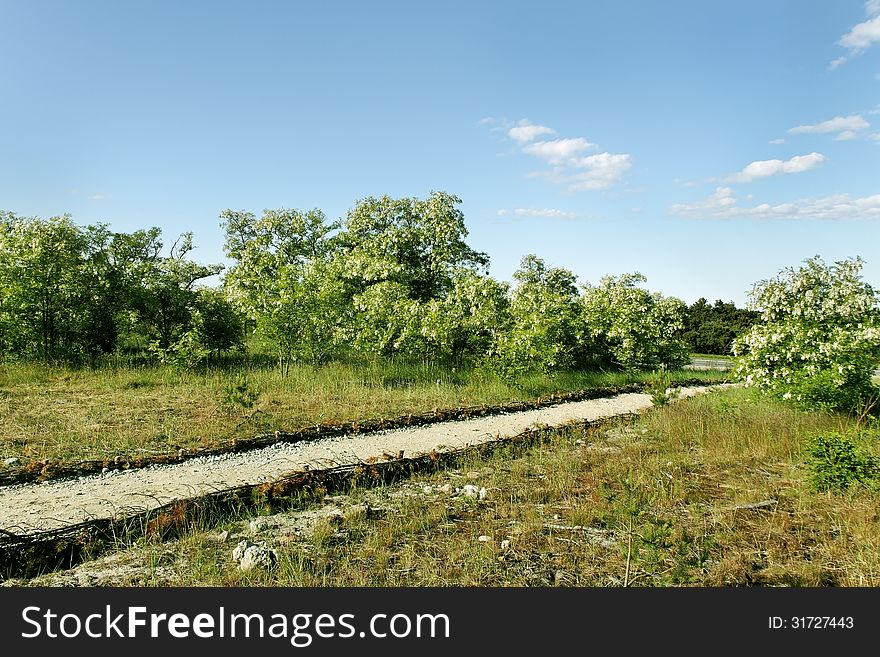 Nacional reserve in the Lithuania, Curonian Spit.