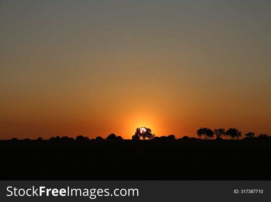 Multicolored sunset with silhouettes of trees