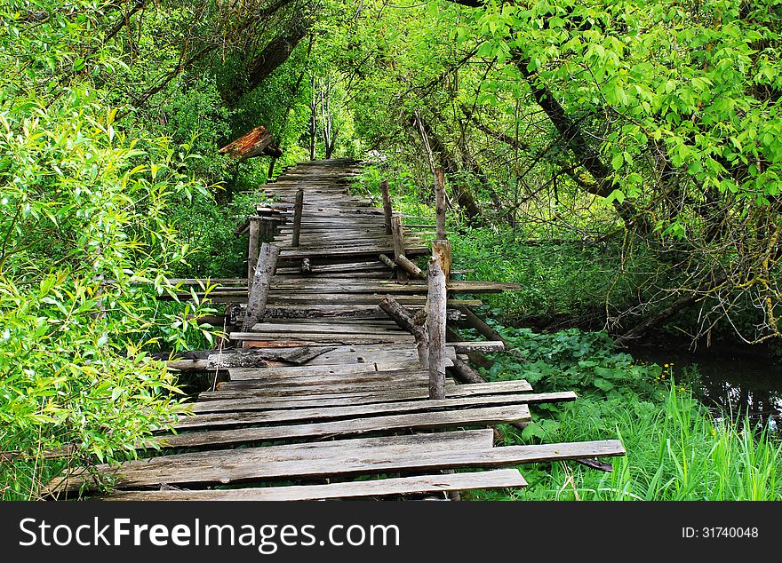 Dangerous Wooden Bridge