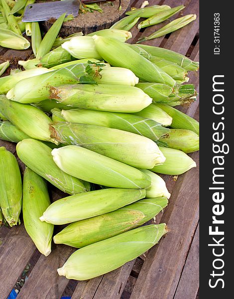 Corn crop that is both people and pets. The plant life of learning for my taste gradually. Widely cultivated in Europe and Asia. Corn crop that is both people and pets. The plant life of learning for my taste gradually. Widely cultivated in Europe and Asia.