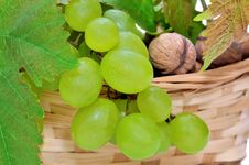 Basket Of Grapes And Nuts Stock Photos