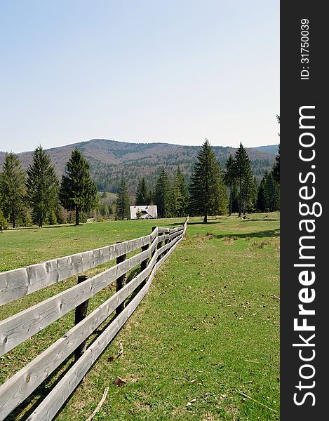 Mountain green meadow with fence