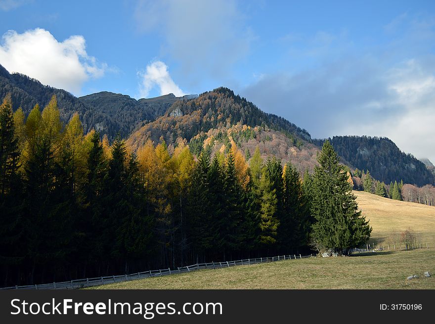 Valley under the mountain covered with forest