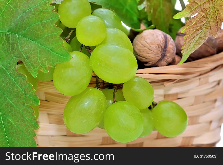 Close on grapes in a basket with nuts and vine leaves. Close on grapes in a basket with nuts and vine leaves