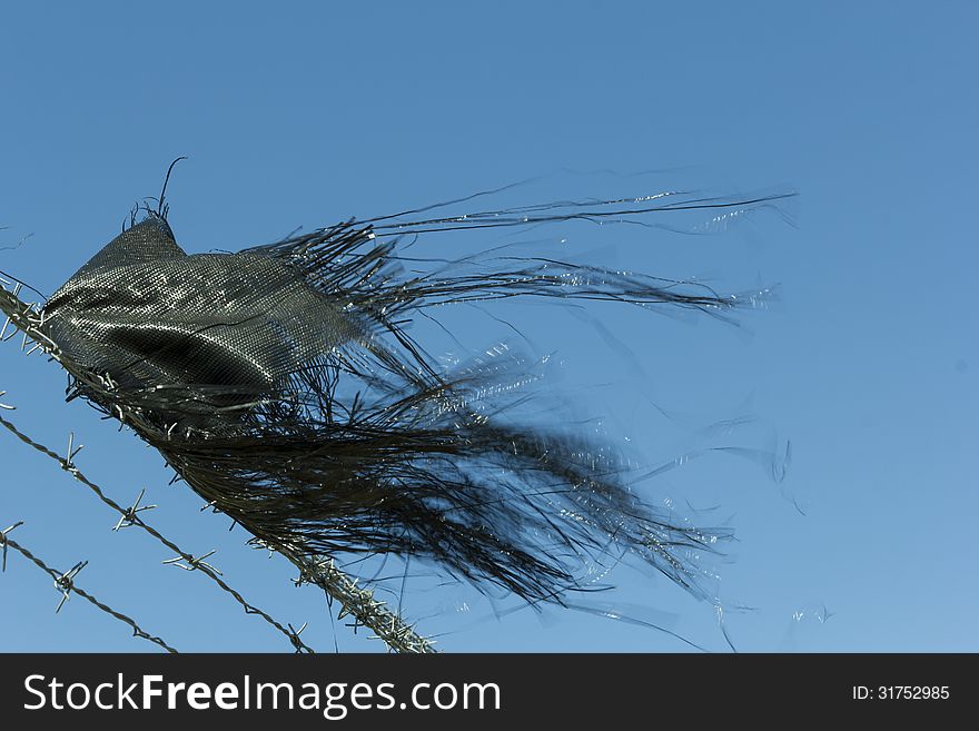 Barbed wire with wavers plastic bag at blue background. Barbed wire with wavers plastic bag at blue background.