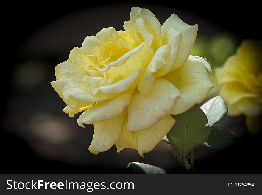 Beautiful photo of a blooming yellow rose in a garden that has been given an oil paint filter in photoshop.