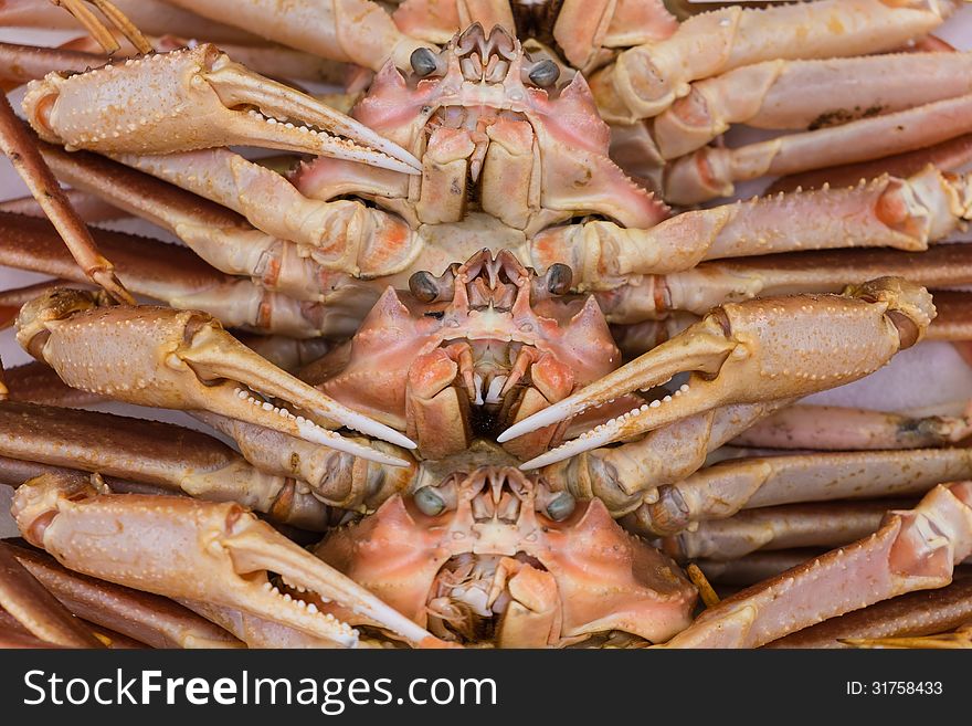 Japanese Big Crab