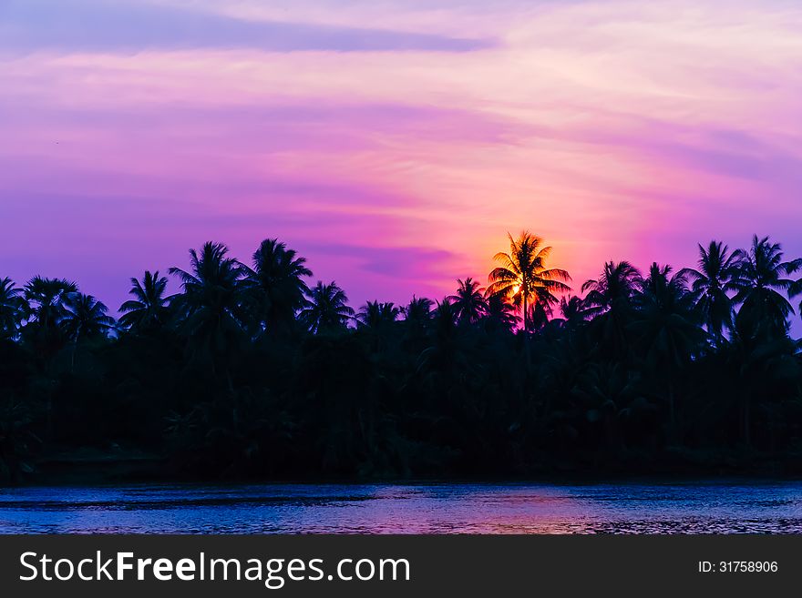 Sunset at silhouette coconut tree with beautiful twilight along the river. Sunset at silhouette coconut tree with beautiful twilight along the river