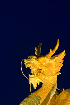 Golden Dragon Head With Blue Background Royalty Free Stock Photos