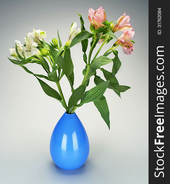Flowers in blue vase on grey white. Flowers in blue vase on grey white