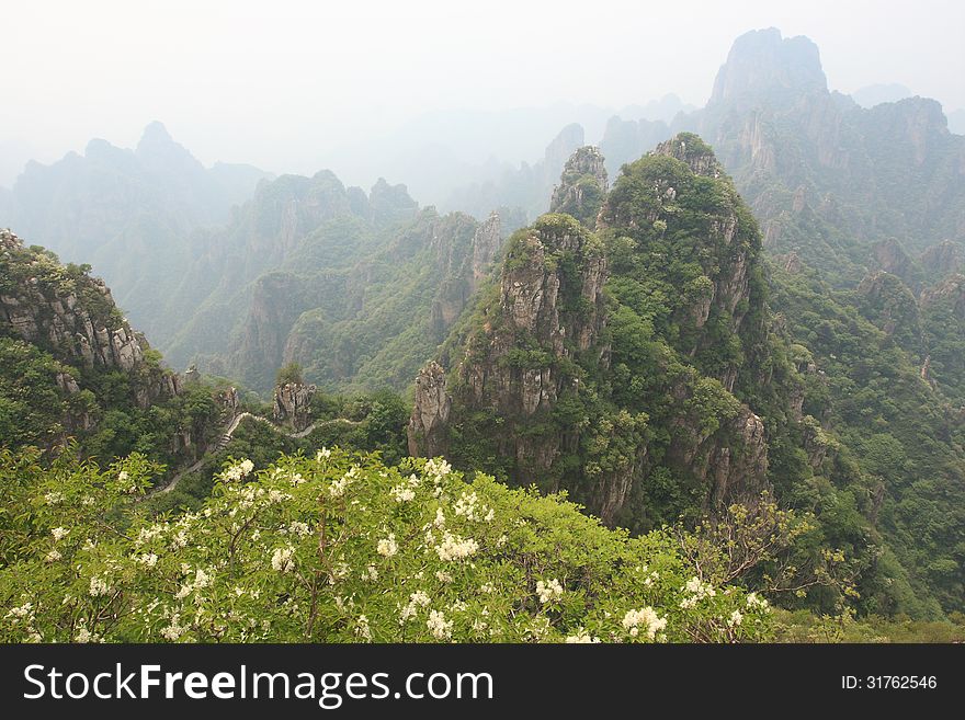 Foggy landscape in mountains