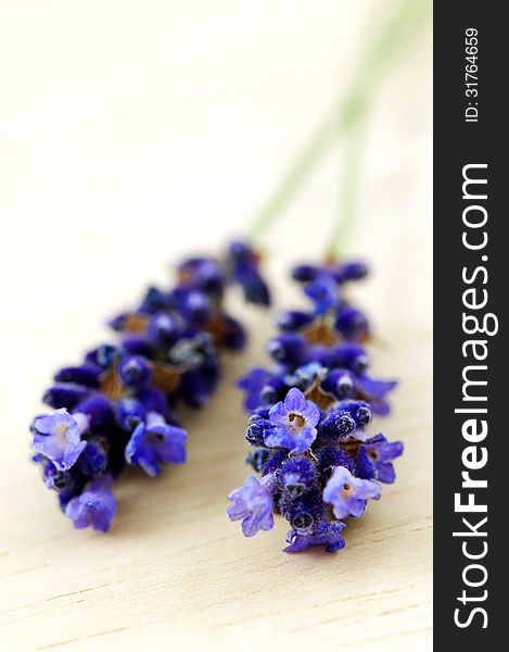 Macro photo of lavender on wooden desk