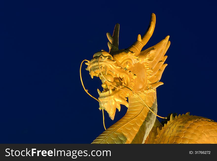 Golden Dragon Head With Blue Background