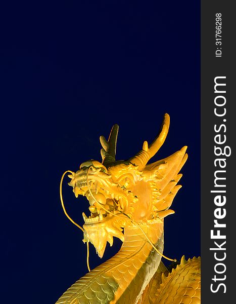 Golden dragon head with blue background