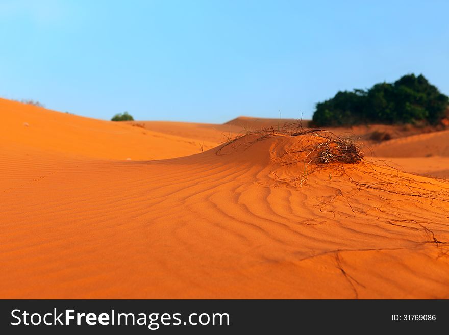 Red Sand Dunes Vietnam in Mui Ne, Vietnam. Red Sand Dunes Vietnam in Mui Ne, Vietnam