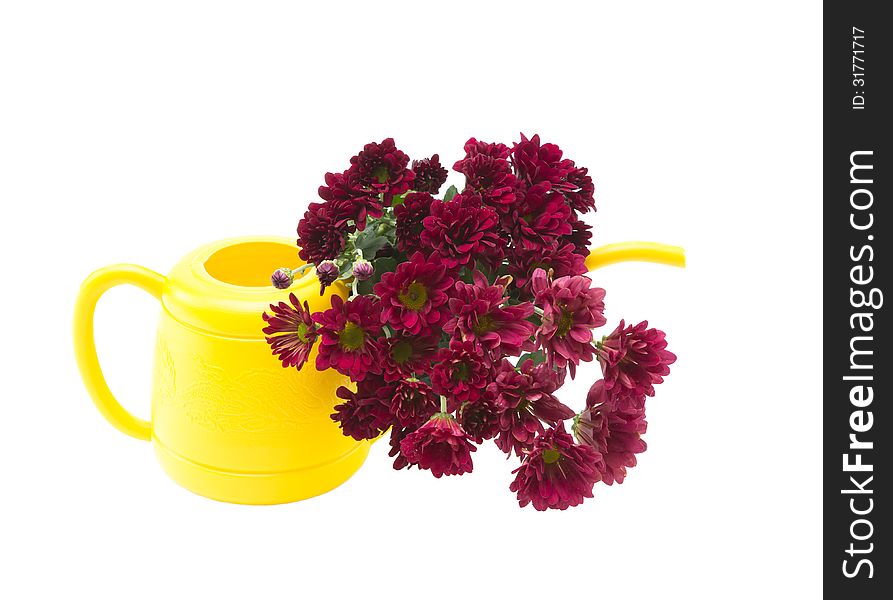 Red flowers and a yellow can on a white background.