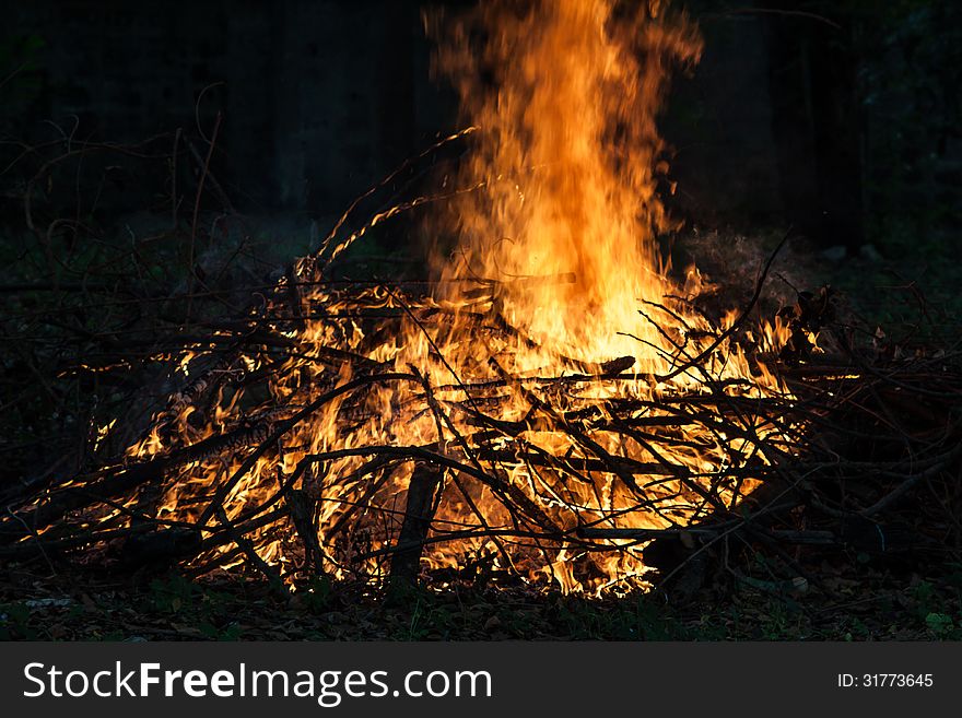 Fire is burning dry twigs in a garden.
